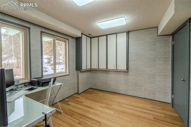 493 Lost Lake Drive, Divide, CO 80814