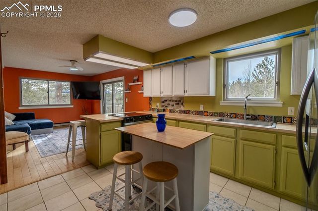 493 Lost Lake Drive, Divide, CO 80814