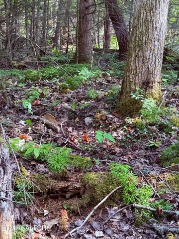 1055 Big Four Rd, Lafollette, TN 37766