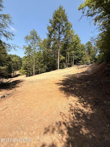 1055 Big Four Rd, Lafollette, TN 37766