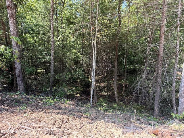 1055 Big Four Rd, Lafollette, TN 37766