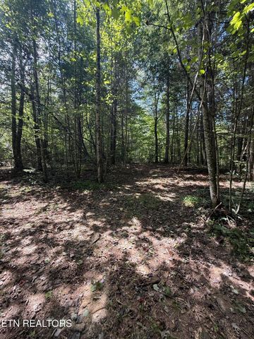 1055 Big Four Rd, Lafollette, TN 37766