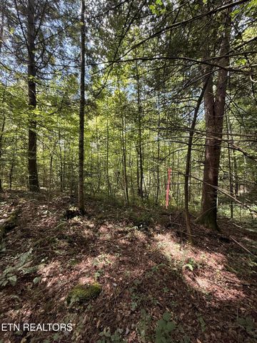 1055 Big Four Rd, Lafollette, TN 37766