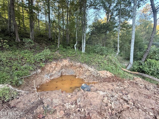 1055 Big Four Rd, Lafollette, TN 37766