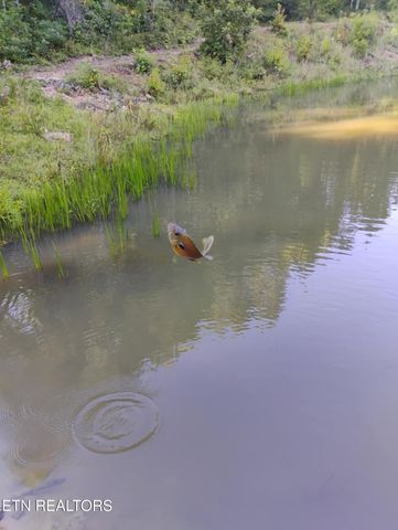 1055 Big Four Rd, Lafollette, TN 37766