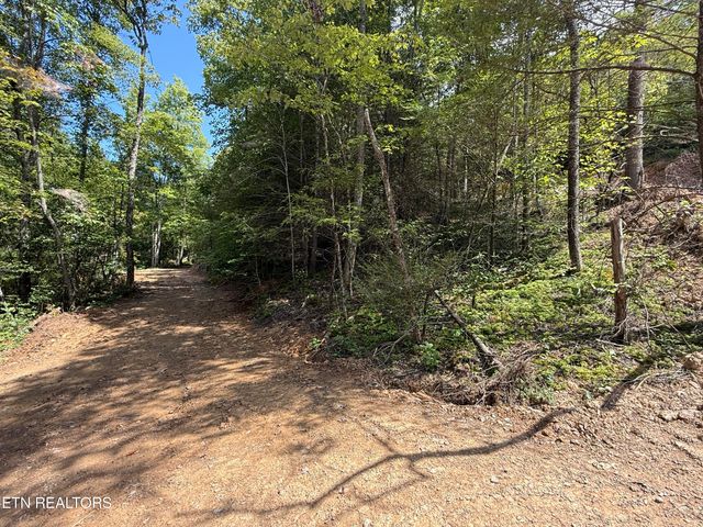 1055 Big Four Rd, Lafollette, TN 37766