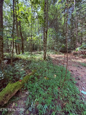 1055 Big Four Rd, Lafollette, TN 37766