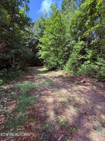 1055 Big Four Rd, Lafollette, TN 37766