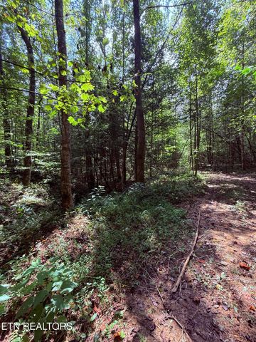 1055 Big Four Rd, Lafollette, TN 37766