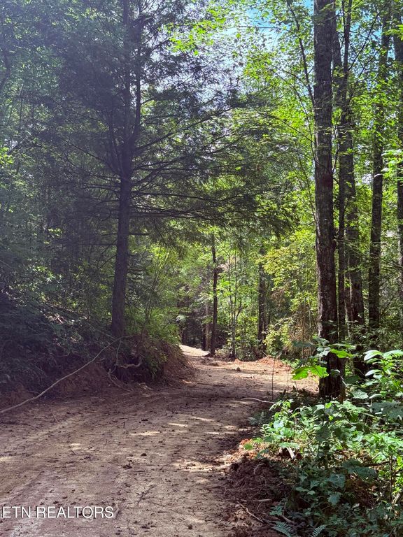 1055 Big Four Rd, Lafollette, TN 37766