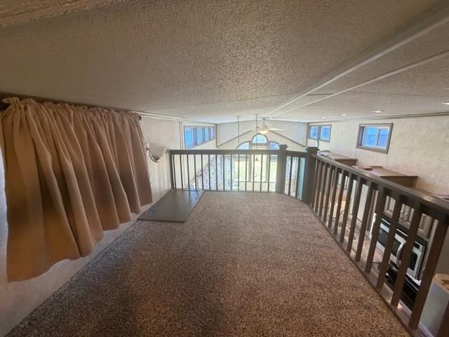 908 Draco Ct, Longs, SC 29568