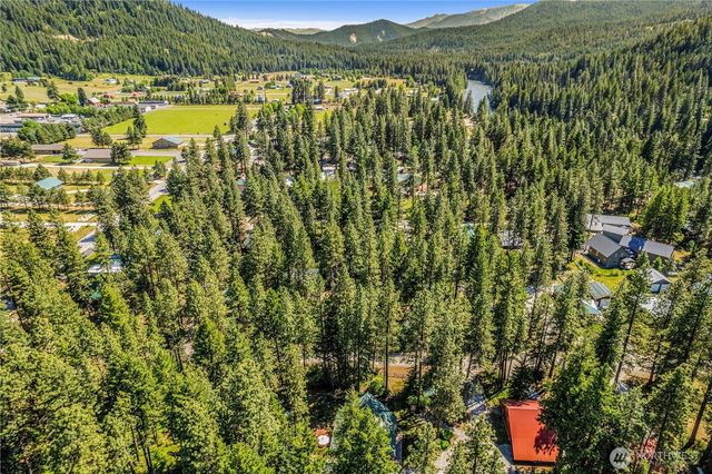 18880 Pine Loop, Leavenworth, WA 98826