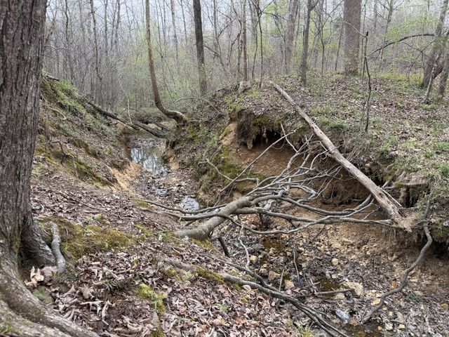 130 Trace view DR, Summertown, TN 38483