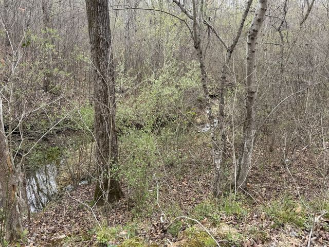 130 Trace view DR, Summertown, TN 38483