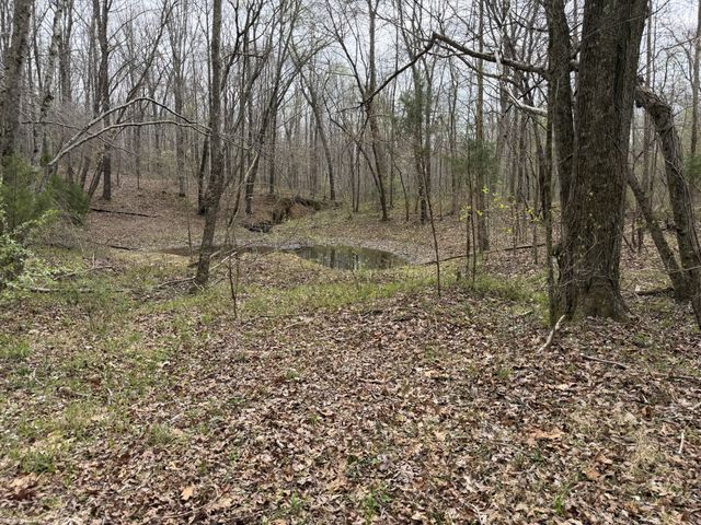 130 Trace view DR, Summertown, TN 38483