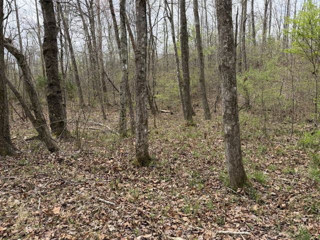 130 Trace view DR, Summertown, TN 38483