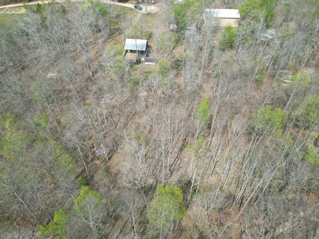 130 Trace view DR, Summertown, TN 38483