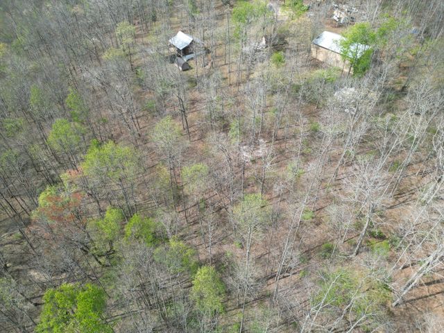130 Trace view DR, Summertown, TN 38483
