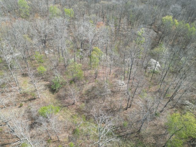 130 Trace view DR, Summertown, TN 38483