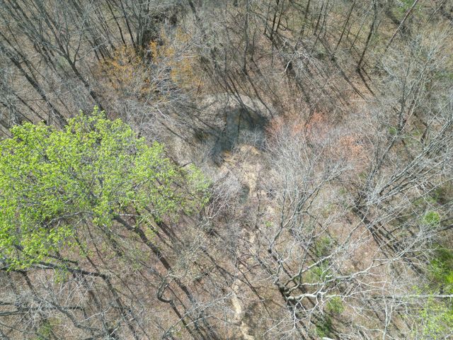 130 Trace view DR, Summertown, TN 38483