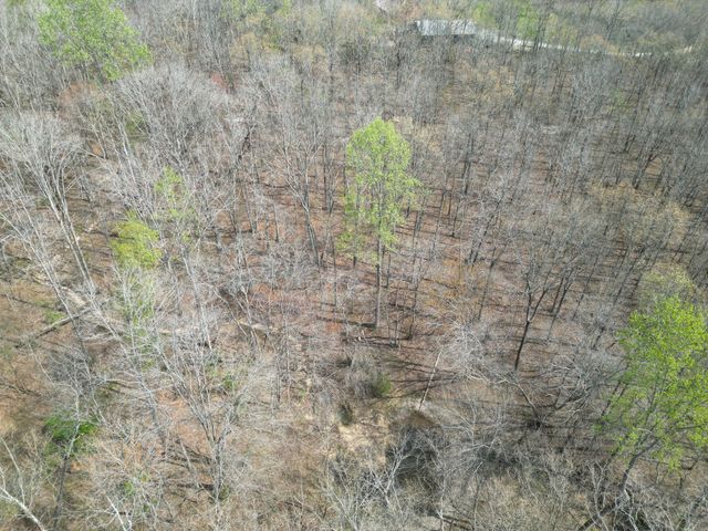 130 Trace view DR, Summertown, TN 38483
