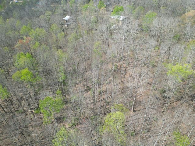 130 Trace view DR, Summertown, TN 38483