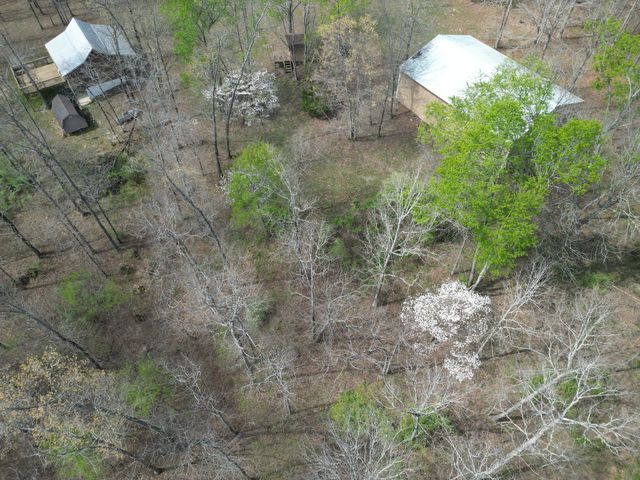 130 Trace view DR, Summertown, TN 38483