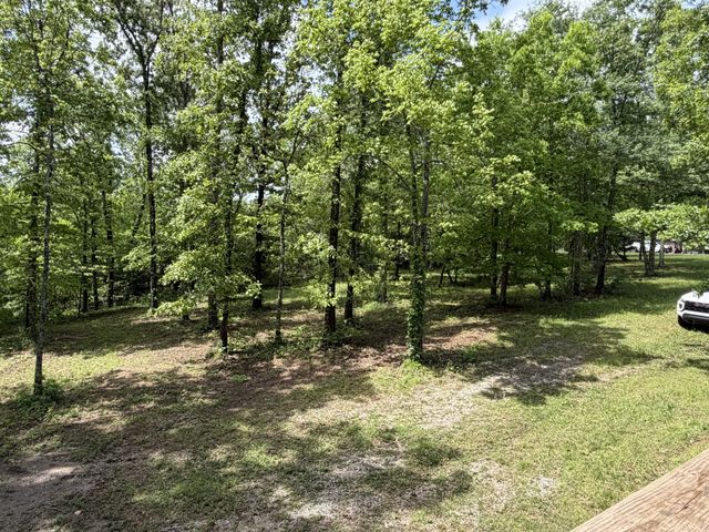 130 Trace view DR, Summertown, TN 38483