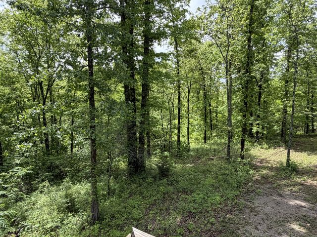 130 Trace view DR, Summertown, TN 38483
