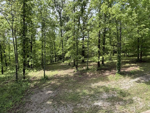 130 Trace view DR, Summertown, TN 38483