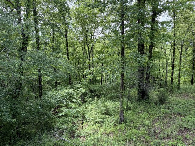 130 Trace view DR, Summertown, TN 38483