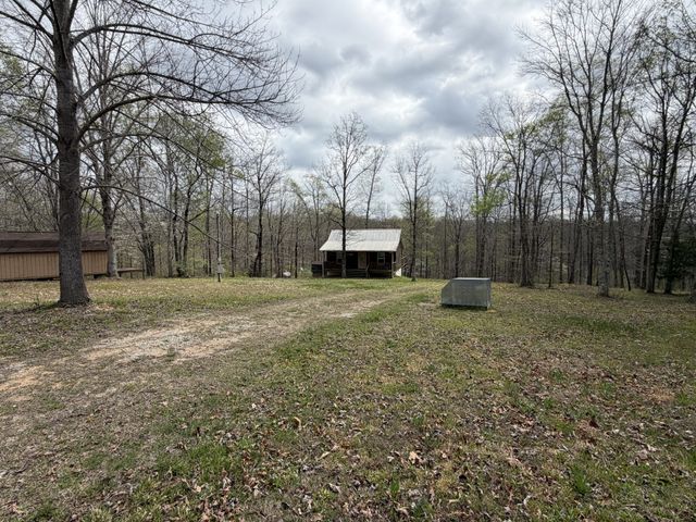 130 Trace view DR, Summertown, TN 38483