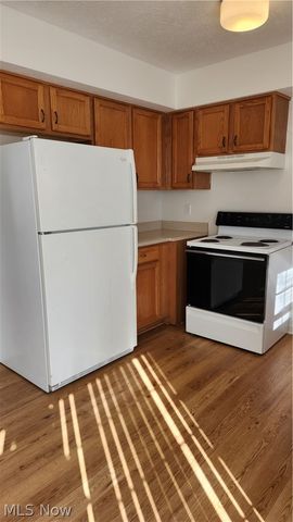 15539 Nantucket Cove 2, Middlefield, OH 44062