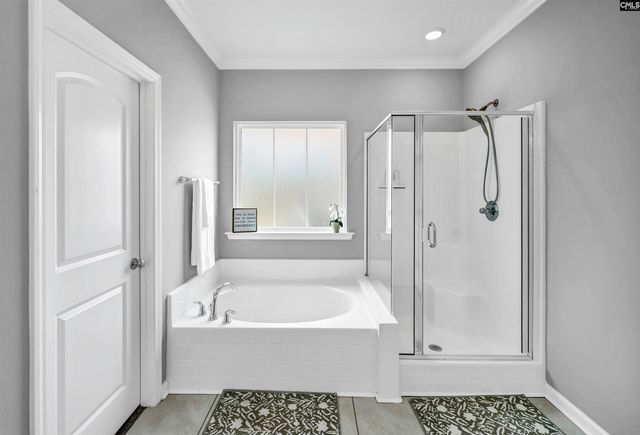 1103 Bergenfield Lane, Chapin, SC 29036