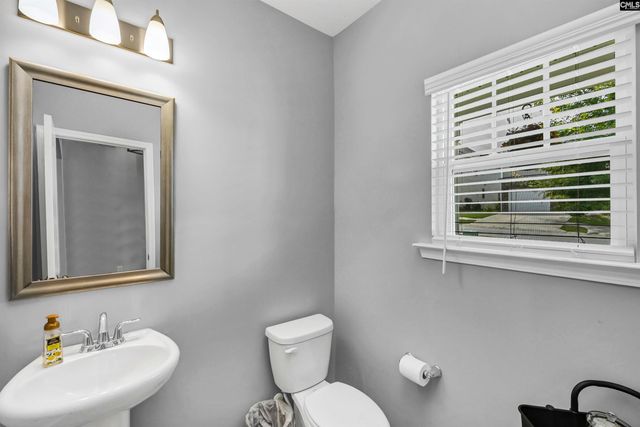 1103 Bergenfield Lane, Chapin, SC 29036