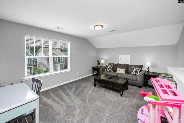 1103 Bergenfield Lane, Chapin, SC 29036