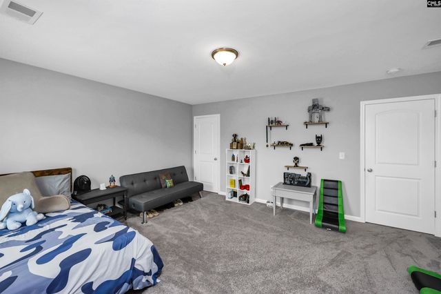 1103 Bergenfield Lane, Chapin, SC 29036