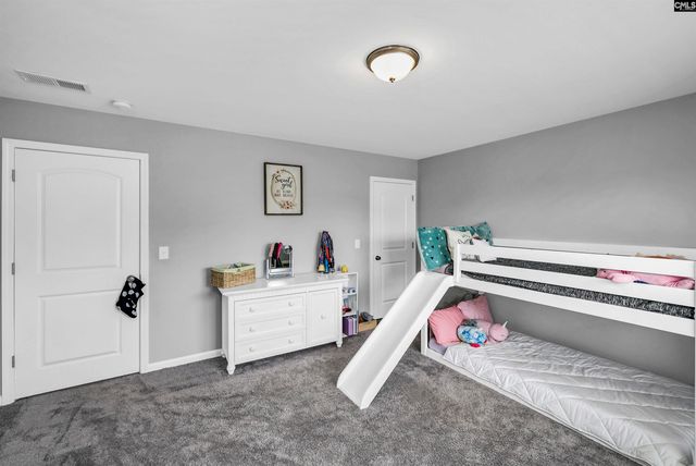 1103 Bergenfield Lane, Chapin, SC 29036