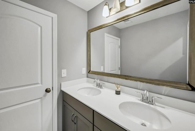1103 Bergenfield Lane, Chapin, SC 29036