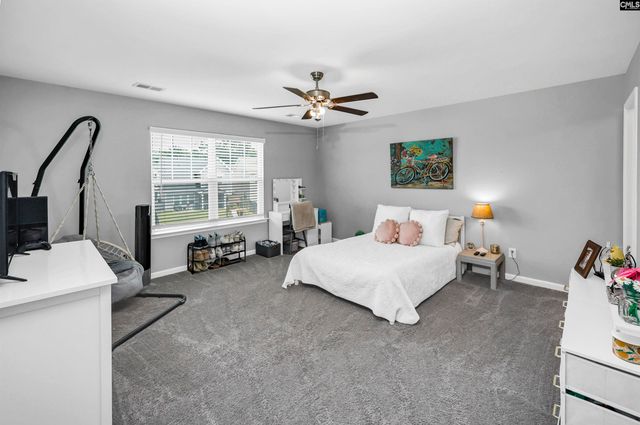 1103 Bergenfield Lane, Chapin, SC 29036