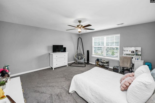 1103 Bergenfield Lane, Chapin, SC 29036