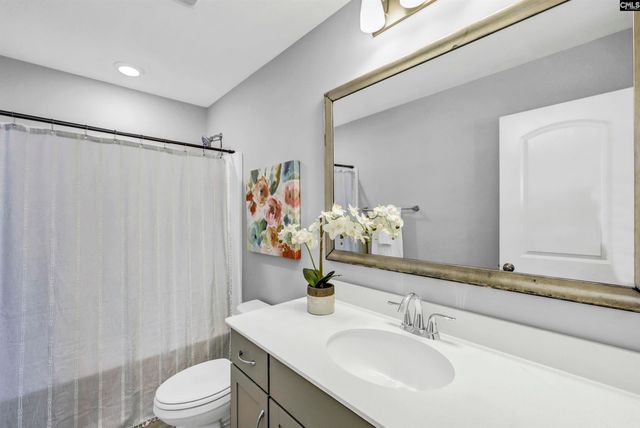 1103 Bergenfield Lane, Chapin, SC 29036
