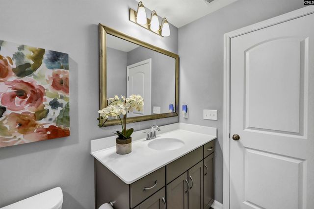 1103 Bergenfield Lane, Chapin, SC 29036