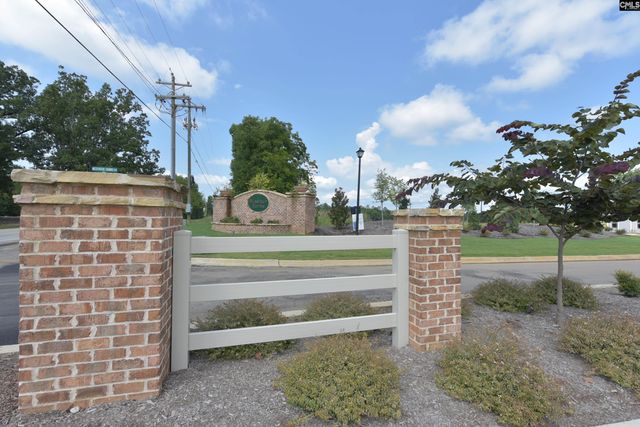1103 Bergenfield Lane, Chapin, SC 29036