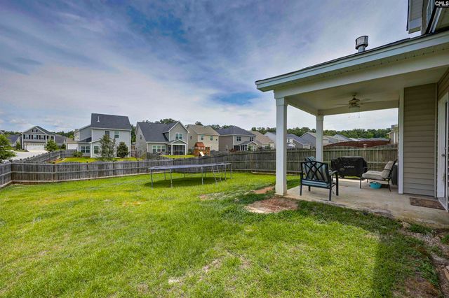 1103 Bergenfield Lane, Chapin, SC 29036