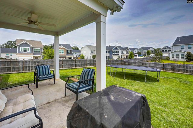 1103 Bergenfield Lane, Chapin, SC 29036