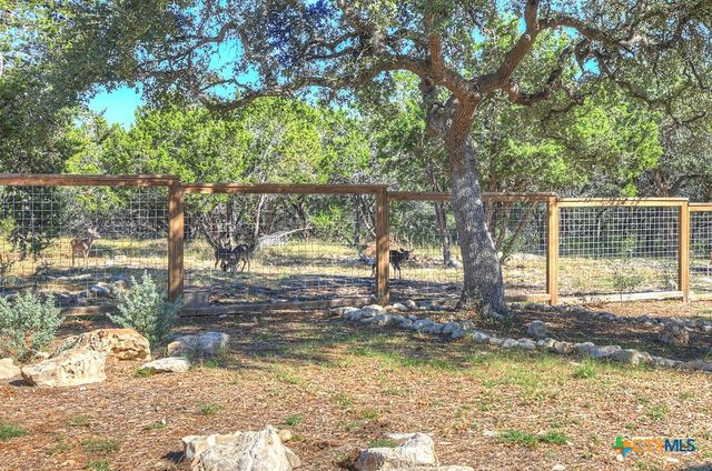 121 Winecup Lane, Spring Branch, TX 78070