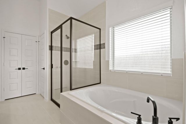 21930 Iris Colony Drive, Waller, TX 77484