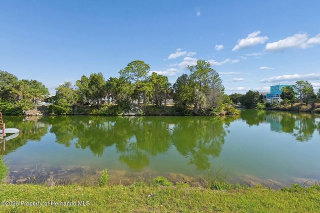 4033 Amberjack Drive, Hernando Beach, FL 34607