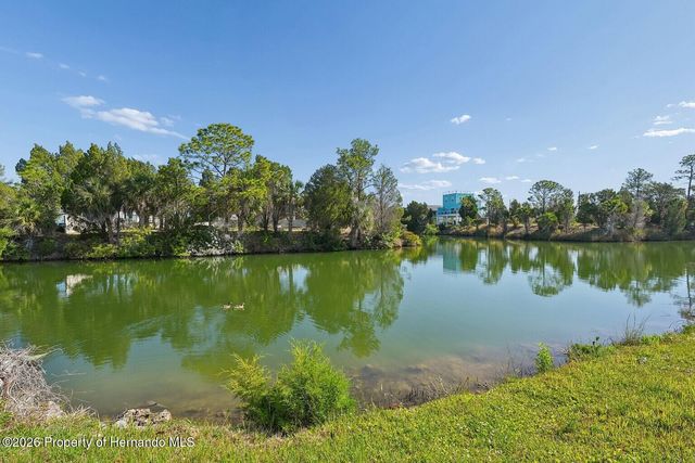 4033 Amberjack Drive, Hernando Beach, FL 34607